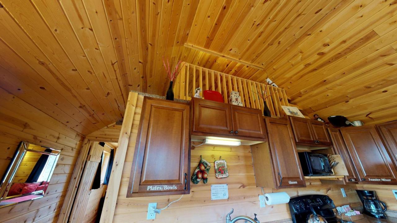 White Pine Cabin By Canyonlands Lodging Монтичелло Экстерьер фото
