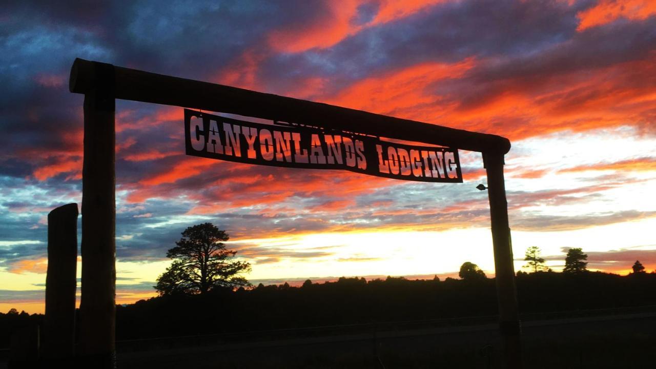 White Pine Cabin By Canyonlands Lodging Монтичелло Экстерьер фото